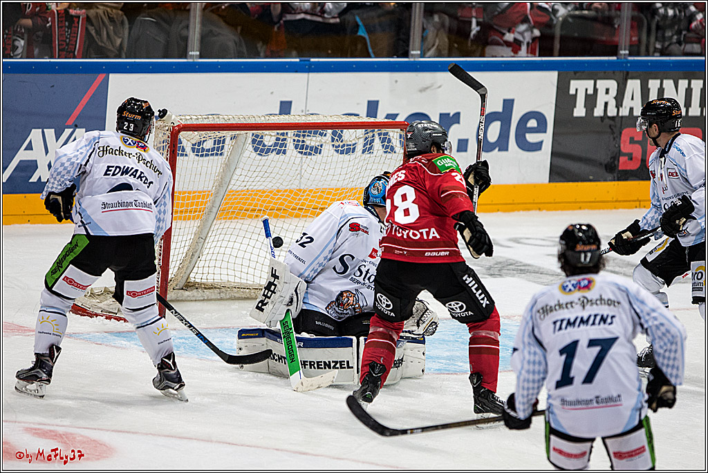 Koelner Haie - Straubing Tigers, 03.10.2016